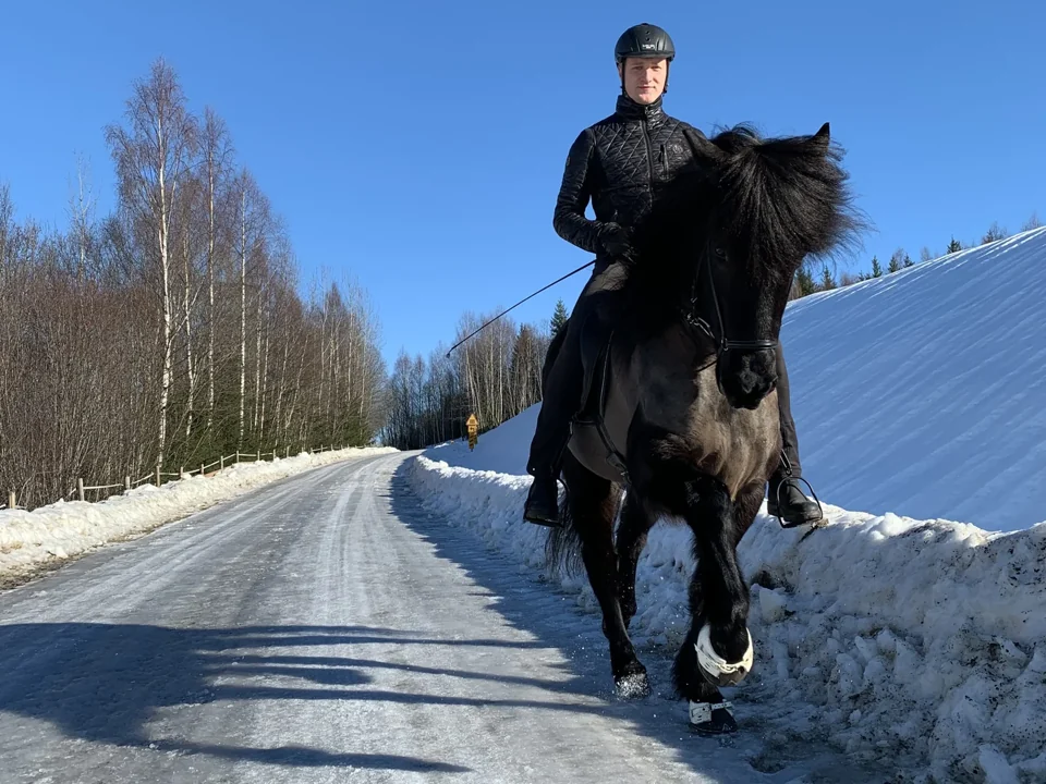 Häst och ryttare i TöltKrafts verksamhet