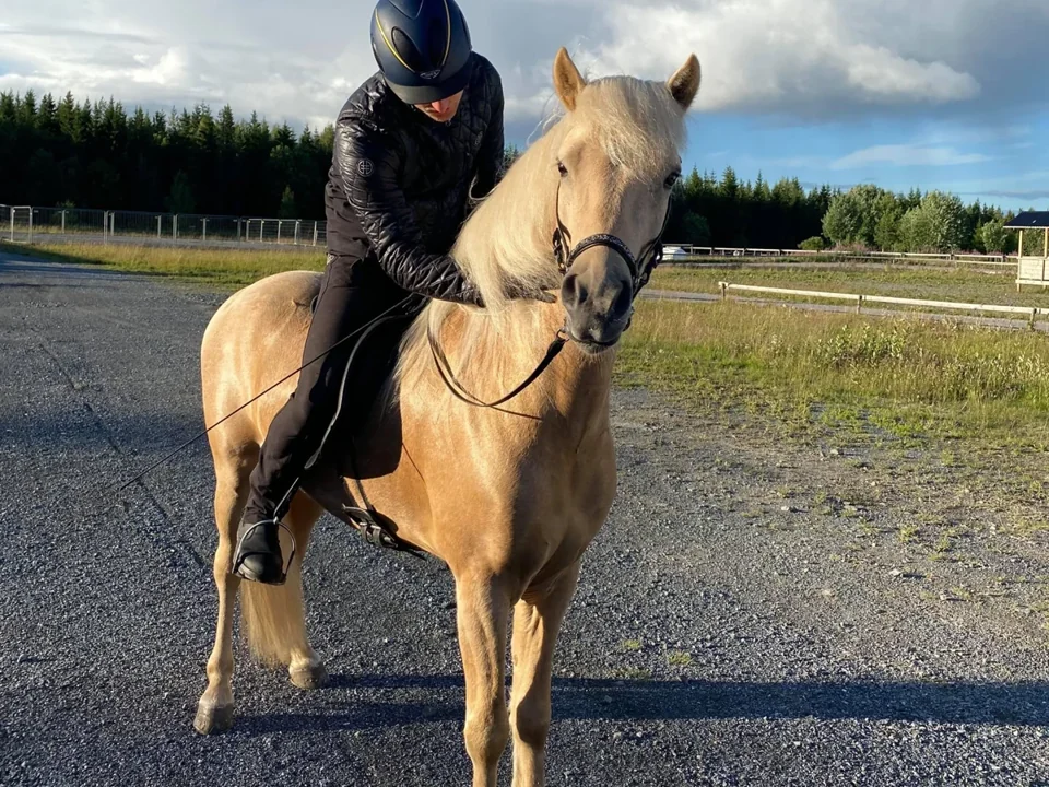 Jack Eriksson med islandshäst under en ridlektion